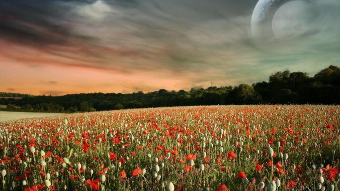 如何自己搭建家庭服务器？